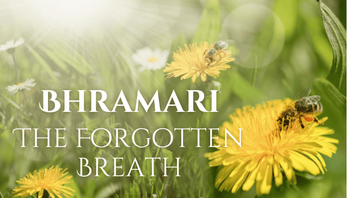 Bhramari Pranayama Yoga Teaching